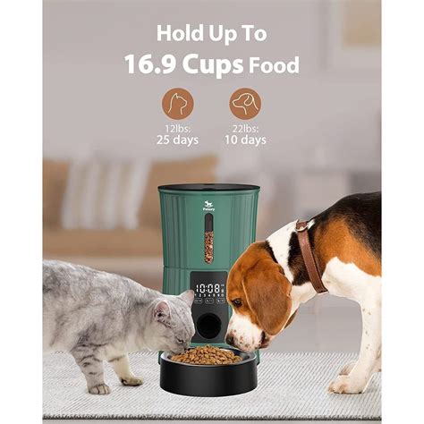 Automatic Programable Timed Cat Food Dispenser – CatPrestige.com