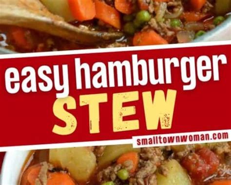 Hamburger Stew (One Easy Quick and Economical Meal)