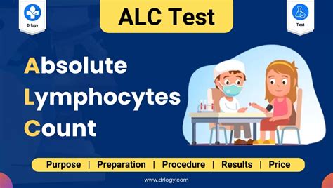 What is ALC lymphocytes?