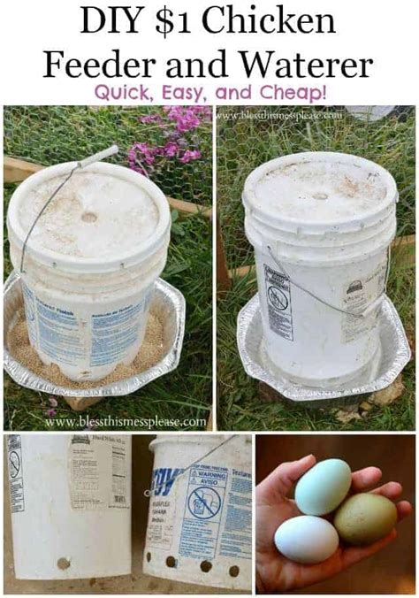 DIY Chicken Water and Feeder From 5-Gallon Buckets