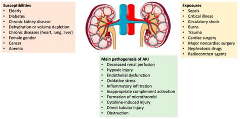 JCM | Free Full-Text | Acute Kidney Injury: Medical Causes and Pathogenesis