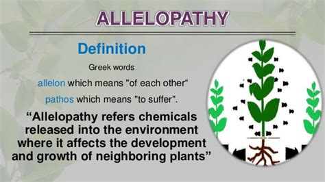 Allelopathy