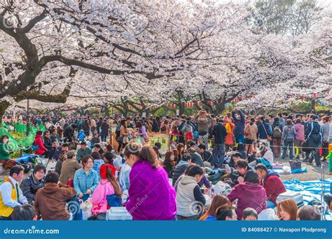 Cherry Blossoms Festival in Ueno Park,Tokyo,Japan Editorial Photography ...