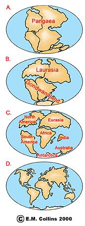 Continental Drift Theory By Alfred Wegener