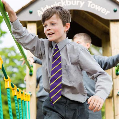 Aldwickbury School Playground Tower - Schoolscapes Playgrounds