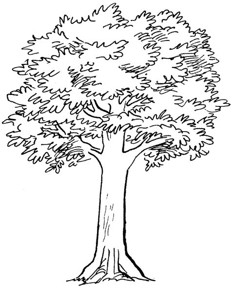 Simple Tree Roots Coloring Coloring Pages