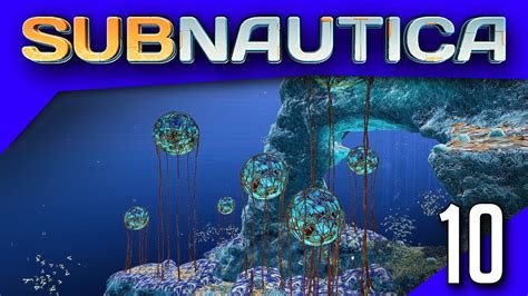 Subnautica #10 : Secrets du Grand Reef ! - YouTube