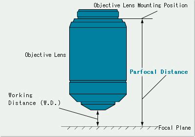 What is the Parfocal Distance? | Learn about Microscope | Olympus