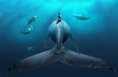 Whale rider – Artofit