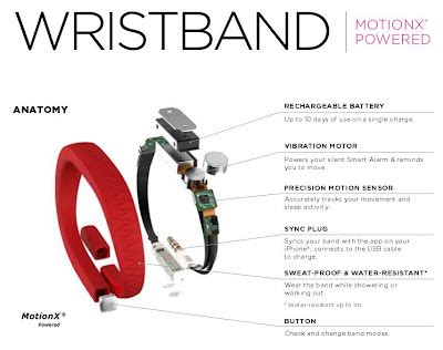 Jawbone Up Tips: Jawbone Up Anatomy and Stress Test