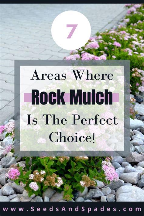 7 Areas Where Rock Mulch Is The Perfect Choice! Landscaping in 2023 ...