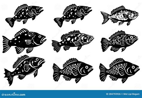 Set Bundle of Grouper Fish Vector, Grouper Fish Illustration Icon ...