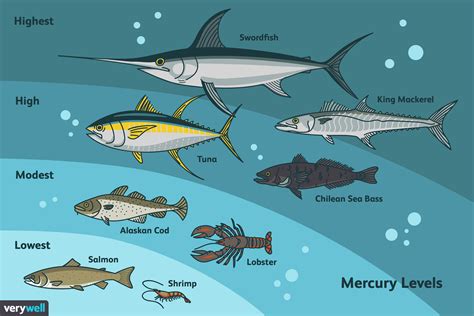 The Best Types of Fish Ranked by Mercury Content