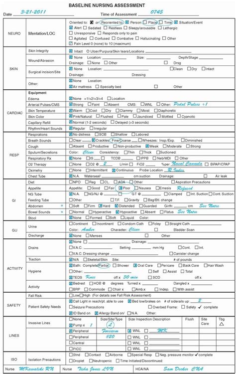 Nursing assessment Documentation Template Beautiful 197 Best Images ...