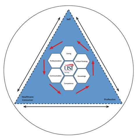 Nursing Conceptual Framework Model