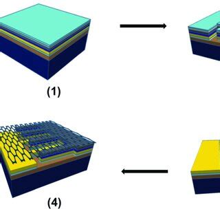 The fabrication steps of the graphene photodetector interdigitated ...