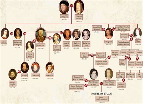 Anne Boleyn Family Tree