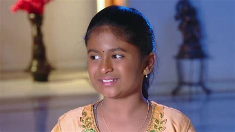 Watch Karthika Deepam TV Serial Episode 411 - Hima to Learn the Truth ...