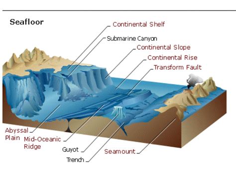 the ocean floor (lesson 0019) - TQA explorer