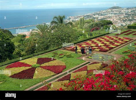 Funchal, Botanical Garden Stock Photo - Alamy