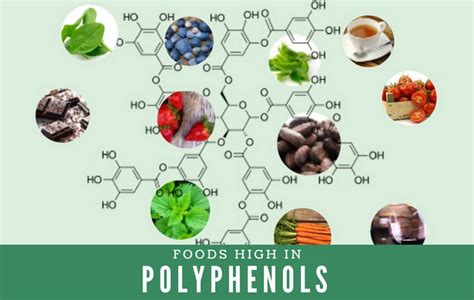 Foods High in Polyphenols