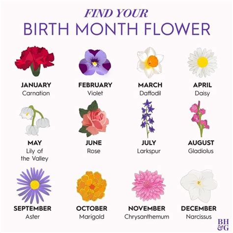 Instagram photos and videos | Birth flower tattoos, Birth month flowers ...