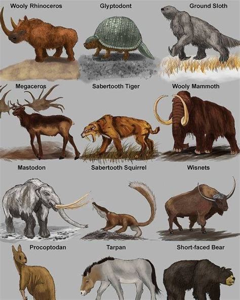 Prehistoric Planet on Instagram: "Prehistoric mammals By Nobu Tamura ...