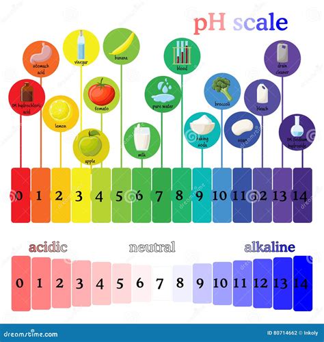 Ph Scale Examples For Kids