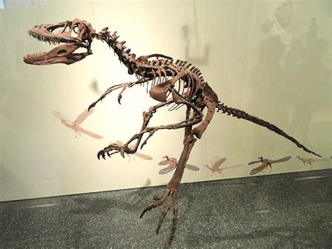 Deinonychus Facts, Information, Etymology, Adaptation and Bahavior