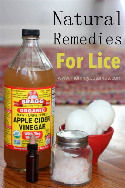 You Wont Believe How Easy This Head Lice Treatment Is – Bath and Body