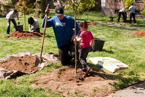 Partner Stories | One Tree Planted