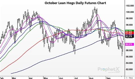 Today in Lean Hogs 10-6-2022 - Total Farm Marketing by Stewart-Peterson