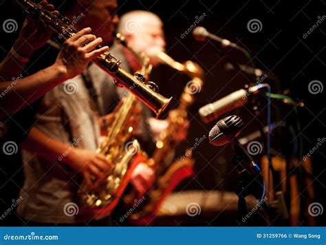 Jazz Concert Royalty Free Stock Image - Image: 31259766