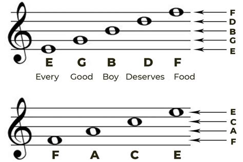 The Treble Clef General Overview - Quick Guide - Phamox Music