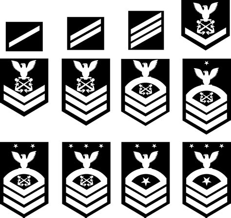 Us Military Enlisted Rank Insignia