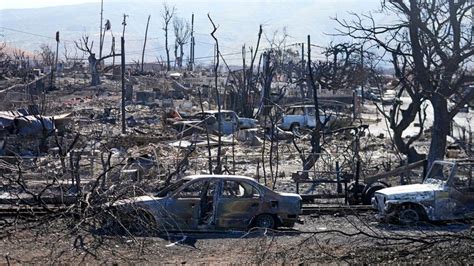 Hawaii wildfires: Governor warns dozens more could be dead | World News ...