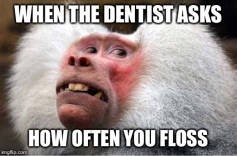 Are You Afraid Of These Dentist Memes? (36 PICS) - Izismile.com