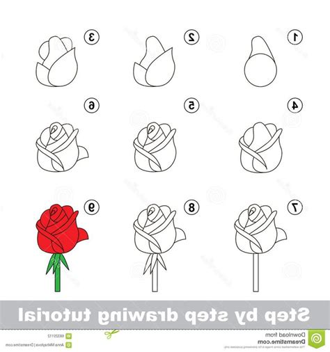 How To Draw Rose Step By Step – Warehouse of Ideas