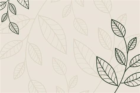 Leaf Outline Background Vector Art, Icons, and Graphics for Free Download