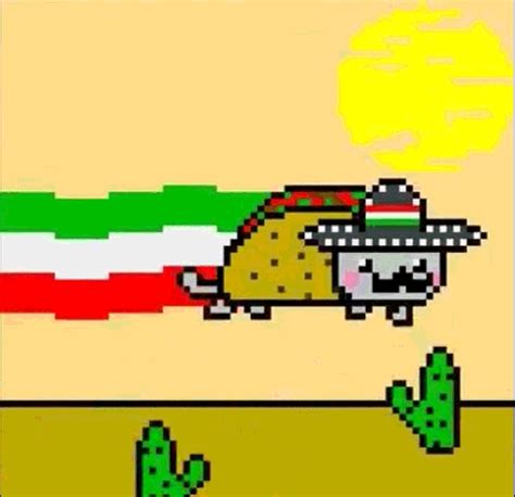 Taco Cat Gif - Nyan Cat Photo (26042543) - Fanpop