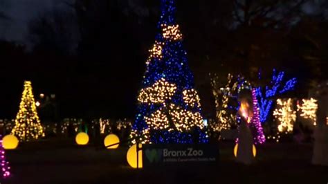 Bronx Zoo Holiday Lights returns with nearly 400 animal, plant lanterns