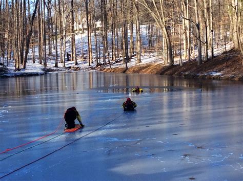 Free photo: Frozen pond - Forest, Frozen, Ice - Free Download - Jooinn