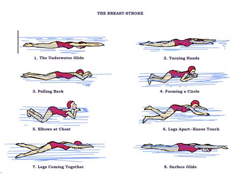 ITE 3543 ( E- LEARNING ): WHAT ARE THE SWIMMING STROKES