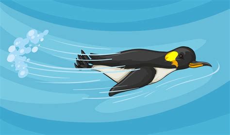 Penguin swimming under the sea 295890 Vector Art at Vecteezy