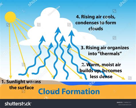 Cloud formation science diagram. How clouds form as sunlight warms the ...