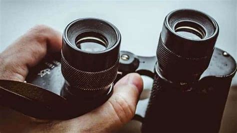 10 Best Hunting Binoculars: Reviews & Buying Guide