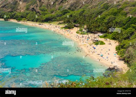 Honolulu Hawaii Oahu famous reef at Hanauma Bay coral from above ...