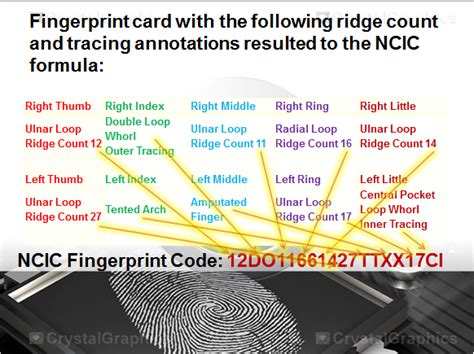 Fingerprint Classification System - Basic Guide to Fingerprint Science