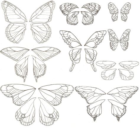 butterfly wings - Google Images | Butterfly drawing, Butterfly wings ...