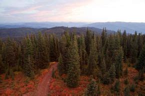 A Guide to Hiking the Bitterroot Mountains | MapQuest Travel